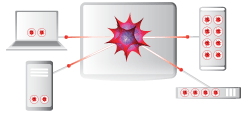 Veranschaulichung gridMathematica Server